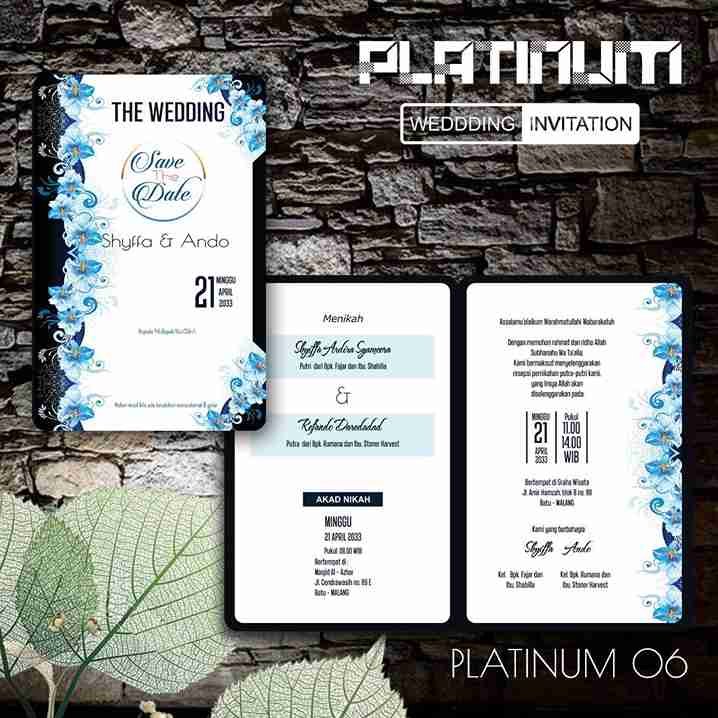 Platinum 06_7_11zon